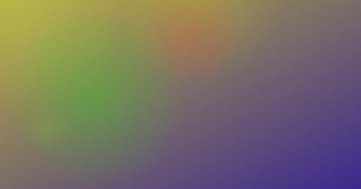 明月几时有测评：避坑问答